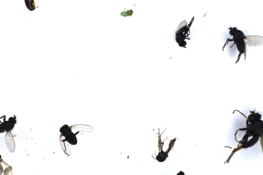 Image 19